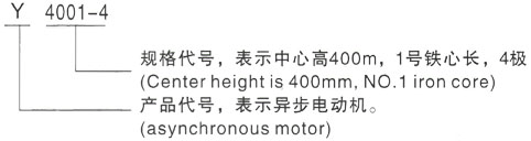 西安泰富西玛Y系列(H355-1000)高压YJTG-355M2-8A/132KW三相异步电机型号说明