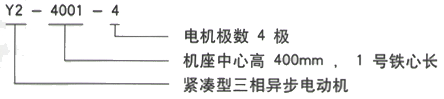 YR系列(H355-1000)高压YJTG-355M2-8A/132KW三相异步电机西安西玛电机型号说明